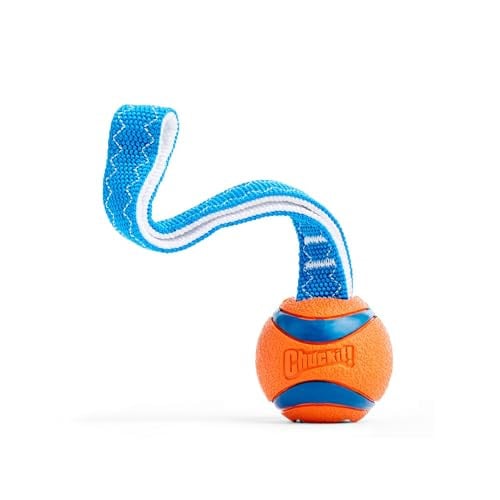 Chuckit! Ultra Tug Dog Toy, Small