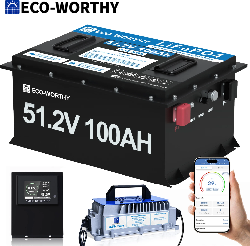ECO-WORTHY 48V 100Ah Golf Cart LiFePO4 Battery Metal Case + 48V 18A Charger