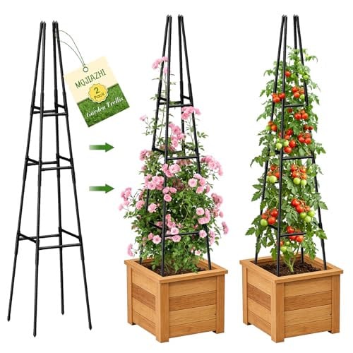 63″ Garden Obelisk Trellis Deal