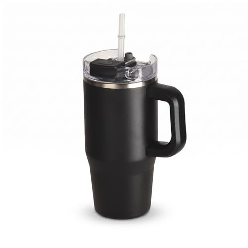 CYPHERTAN 20oz Tumbler with Handle and Dual-Lid Straw