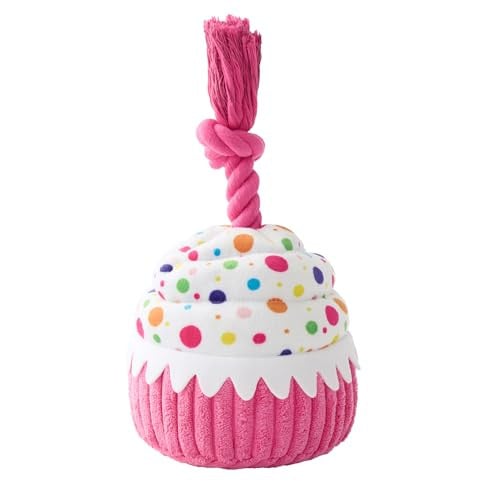 Dog Birthday Cake Toy Deal