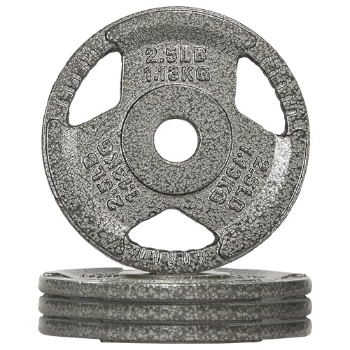 Fitvids Cast Iron 1-Inch Standard Weight Plate 4-Pack 2.5-Lb