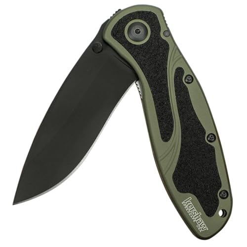 Kershaw Blur 3.4" 14C28N Stainless Steel Blade Pocket Knife w/ Assisted Opening
