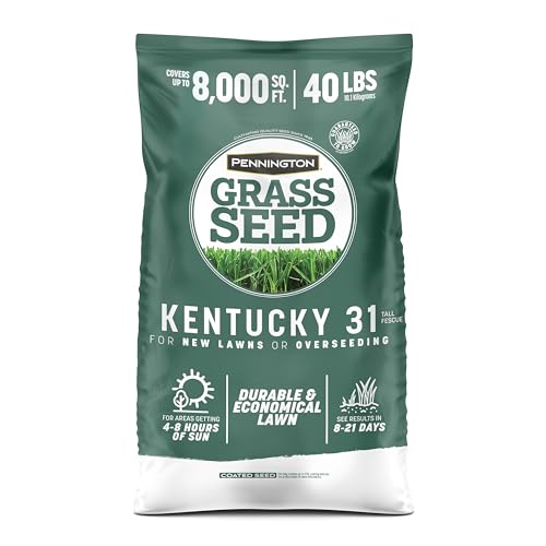 Pennington Kentucky 31 Fescue 40 LB Tall Fescue Grass Seed
