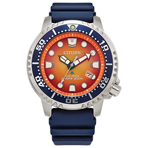 Citizen Promaster Dive Men's Eco-Drive Watch