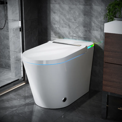 SANOXIS ADA Smart Bidet Toilet w/ Auto Open/Close Lid Deal