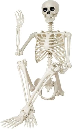 36" Posable Human Skeleton Decorations Deal