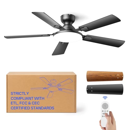 Homelist Ceiling Fans with Lights 52 Inch, Flush Mount Fan, Matte Black Deal