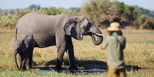 8-Night South Africa, Victoria Falls & Botswana Safari Vacation