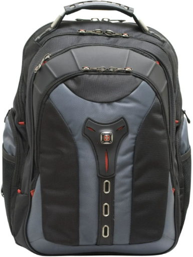 Swiss Gear Wenger Pegasus Backpack for 17" Laptops