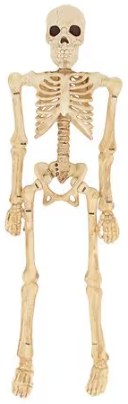 Halloween Skeletons Decor Sale