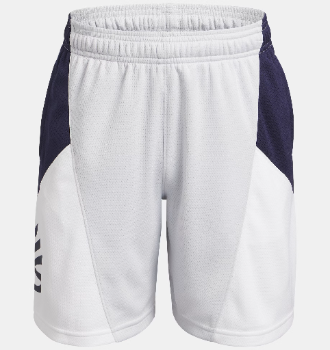 Under Armour Boys' UA Curry Splash Shorts (Halo Gray/White/Midnight Navy) Deal
