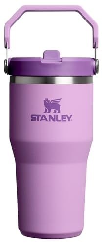 20-Oz STANLEY IceFlow 2.0 Flip Straw Tumbler with Handle (Lilac) Deal