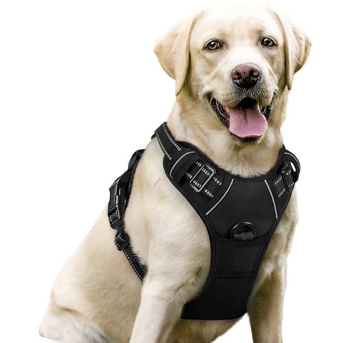 Rabbitgoo No-Pull Dog Harness Deal