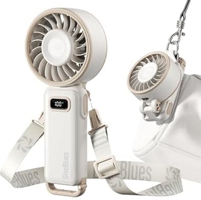 Diveblues Fanzy D6036 Portable Handheld Fan