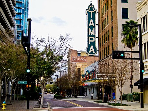 Roundtrip Detroit to Tampa Nonstop Airfares on Delta Air Lines