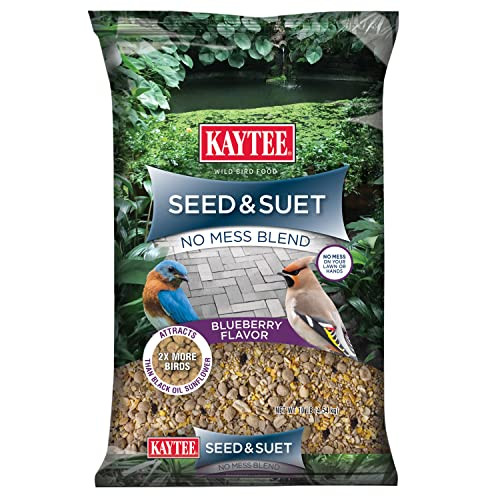Kaytee Seed & Suet No Mess Blend 10-Pound (Blueberry)