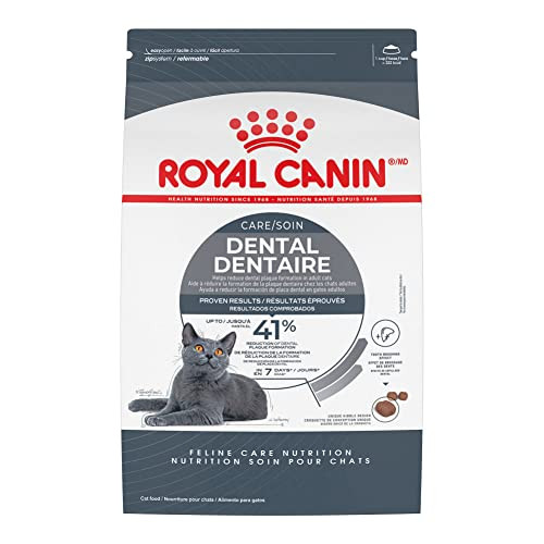 Royal Canin Feline Care Nutrition Dental Care Adult Dry Cat Food 6-lb