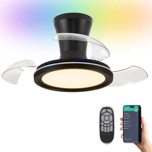 LumZeylith 30" RGB Ceiling Fan with Light Black Chandelier Fan