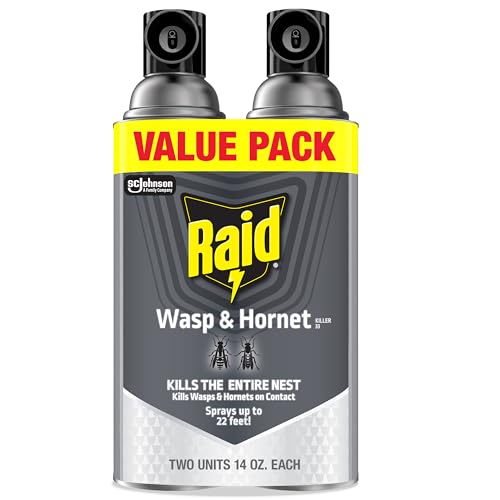Raid Wasp & Hornet Killer Bug Spray 2-Pack 14-Oz Deal