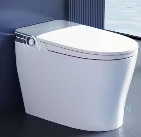 Tankless Elongated ADA Bidet Toilet 1.28 GPF