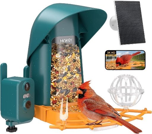Smart Bird Feeder with Camera Deal