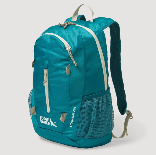 Eddie Bauer Stowaway 20L Backpack