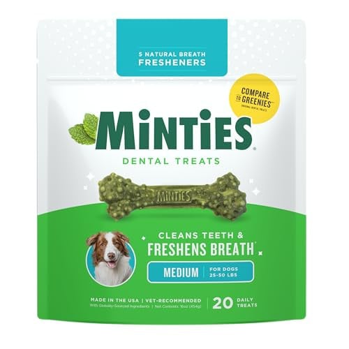 Minties Dental Chews for Dogs, 20 Count