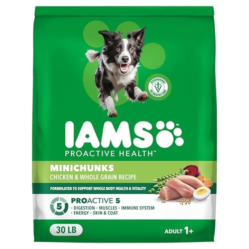 IAMS Proactive Health Adult Minichunks Premium Dry Dog Food 30 lb. Bag