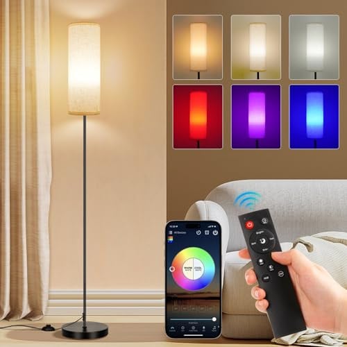 (Prime Deal) FRIDEKO HOME Floor Lamp with RGB Smart Bulb