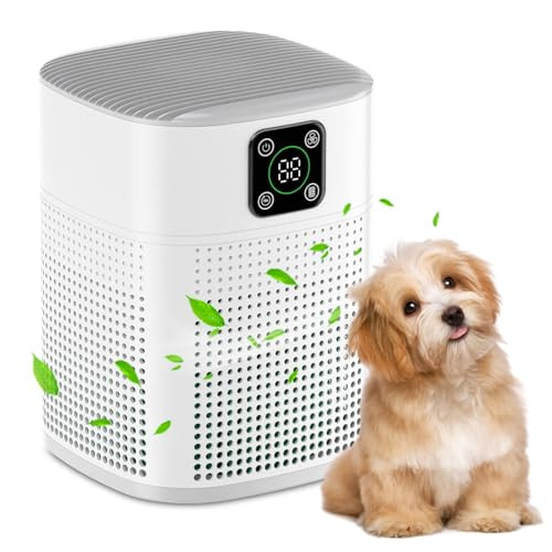 Honeyuan H13 HEPA Air Purifier for up to 600ft