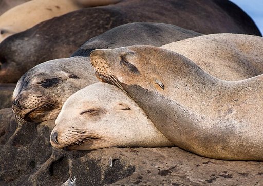 Roundtrip Phoenix to San Diego Nonstop Airfares (Or Vice Versa)