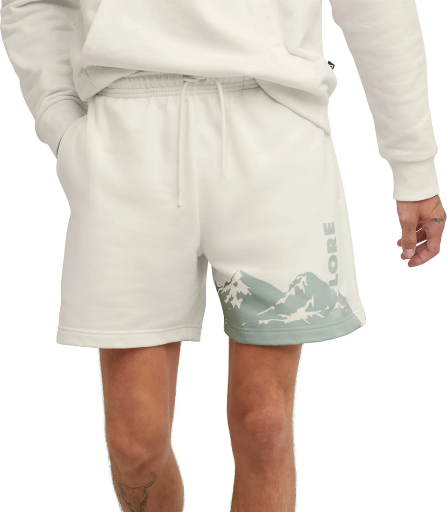 Hanes Men's Explorer Shorts