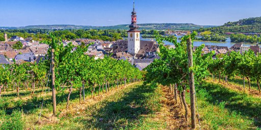 3-Country European River Cruise: Canals, Vineyards & Castles