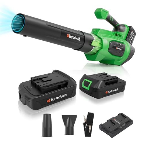 Dynavolt 40V Cordless Leaf Blower with 2 Batteries Deal