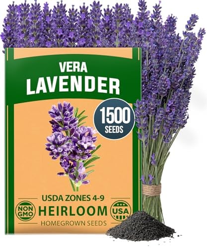 HOME GROWN Non GMO English Lavender Seeds 1,500+ Wildflower Seed Deal