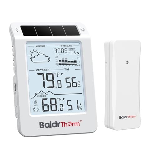 BaldrTherm Wireless Weather Station Deal
