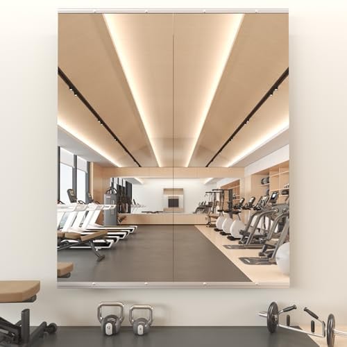 Snowdool Full Body Gym Mirror 2-Piece (56'' x 16'') Deal