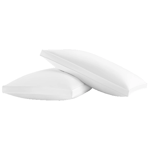 2-Pack New York & Co Pillows Poly Fill Deal