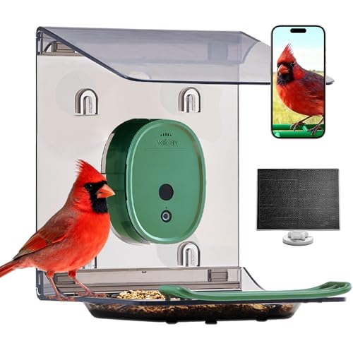 Smart Bird Feeder with 2K UHD Video Camera Solar Powered Deal