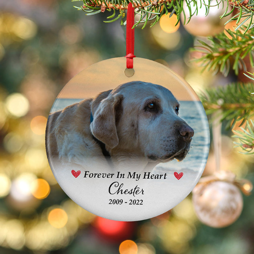 Pet Memorial Photo Ornament