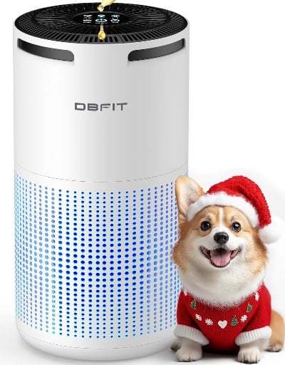 Air Purifiers for Up to 1500ft² with Aromatherapy Deal