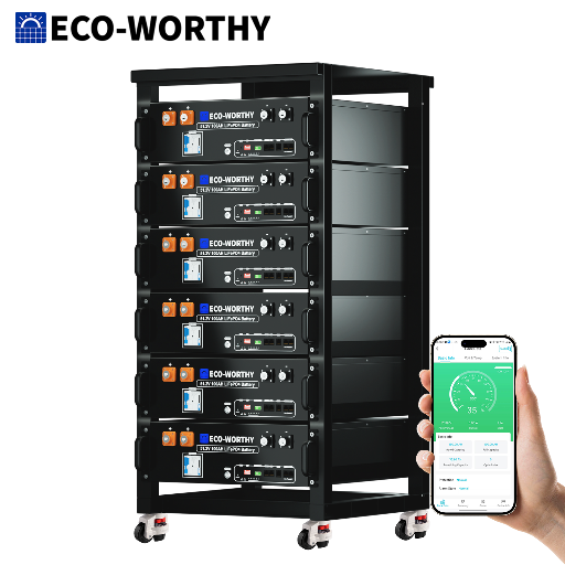 ECO-WORTHY 6-Pack 48V 100Ah LiFePO4 Batteries with Battery Monitor and Server Rack