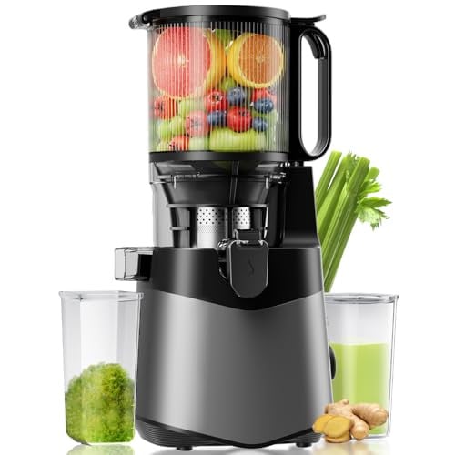 Cold Press Juicer