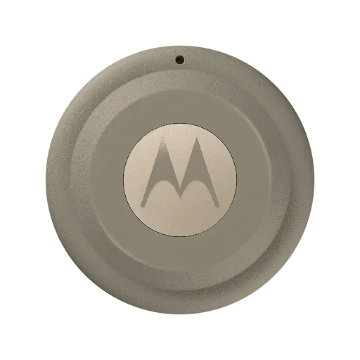 Moto Tag 2