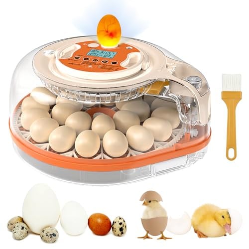 Egg Incubator with Voice Control for Hatching Eggs Deal