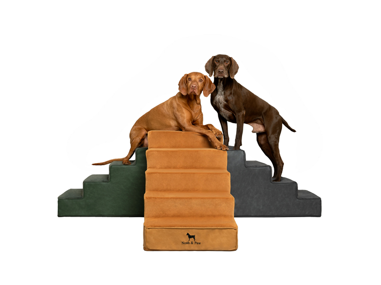 Noah & Paw Vegan Leather Pet 5 Stairs for Dogs & Cats Deal