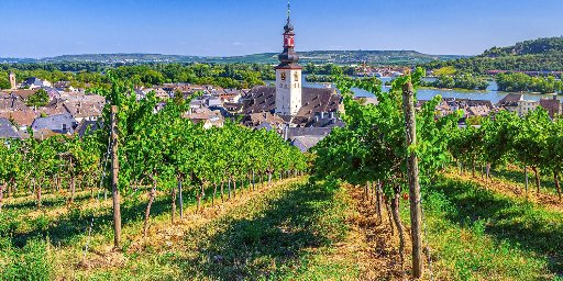 8-Day Rhine & Moselle Wine Harvest Season River Cruise