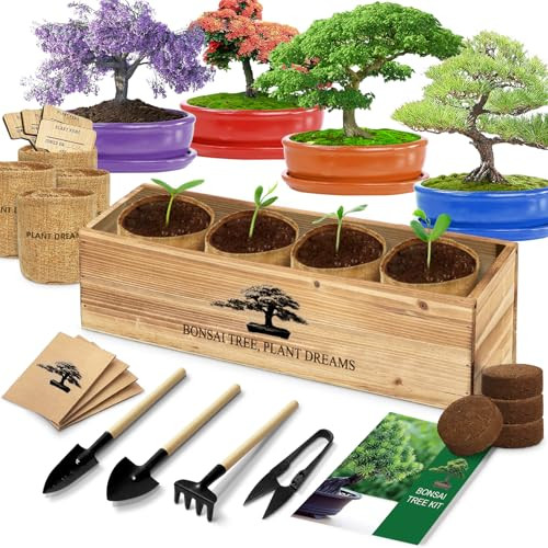 Bonsai Starter Kit with Seeds & Tools