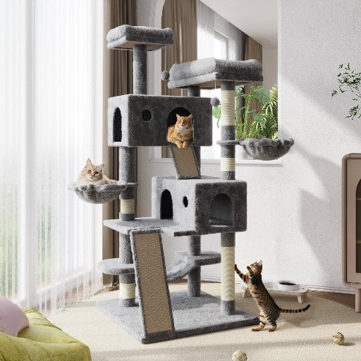 Amolife 65.7" Large Cat Tree and Tower Condo Deal